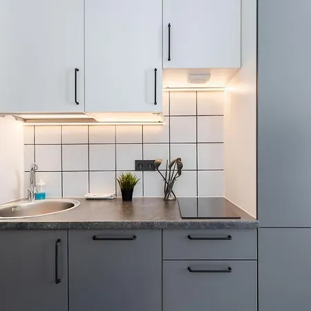 River To The City - Studio 7B Apartment Вильнюс Экстерьер фото
