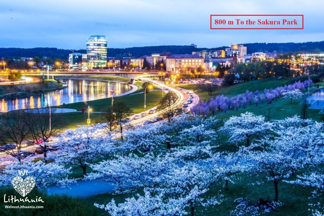 River To The - 7b * Vilnius